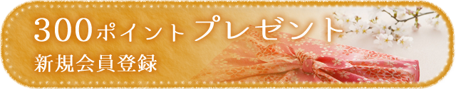 300ポイントプレゼント新規会員登録