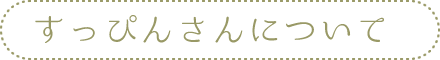 すっぴんさんについて